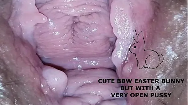 Cute bbw bunny, but with a very open pussy 파워 튜브 표시