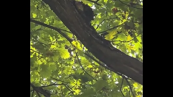 Afficher Sexe en public dans le parctube de puissance